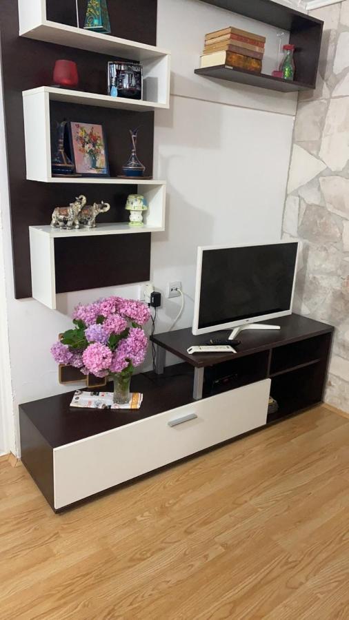 Alisa Sea View Apartment Prcanj Kotor Zewnętrze zdjęcie