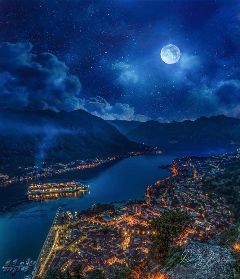 Alisa Sea View Apartment Prcanj Kotor Zewnętrze zdjęcie